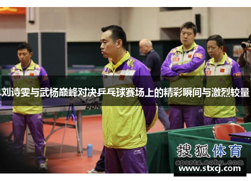 刘诗雯与武杨巅峰对决乒乓球赛场上的精彩瞬间与激烈较量