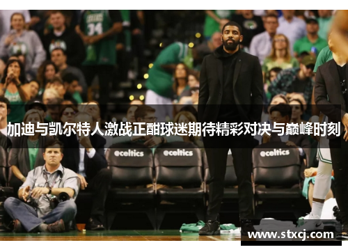 加迪与凯尔特人激战正酣球迷期待精彩对决与巅峰时刻