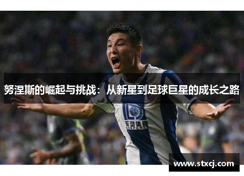 努涅斯的崛起与挑战：从新星到足球巨星的成长之路