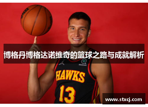 博格丹博格达诺维奇的篮球之路与成就解析