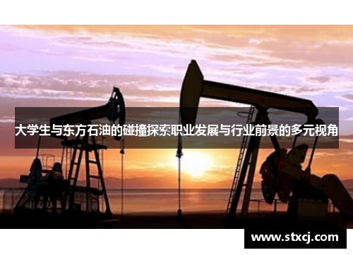 大学生与东方石油的碰撞探索职业发展与行业前景的多元视角