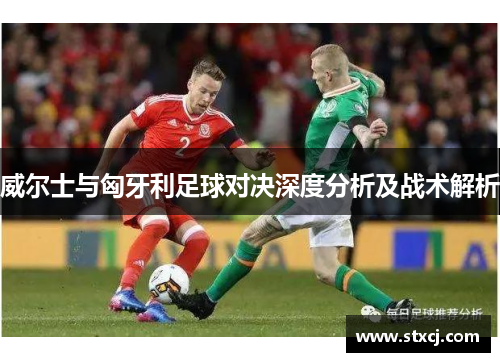 威尔士与匈牙利足球对决深度分析及战术解析