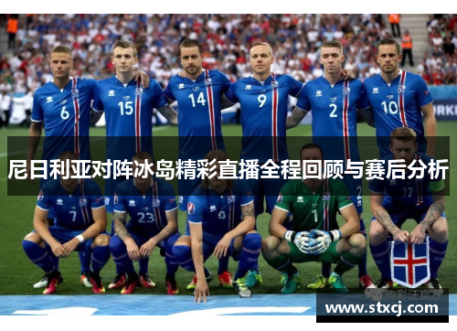 尼日利亚对阵冰岛精彩直播全程回顾与赛后分析