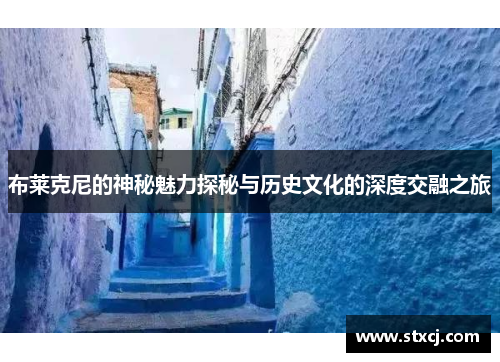 布莱克尼的神秘魅力探秘与历史文化的深度交融之旅