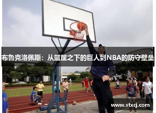布鲁克洛佩斯：从篮筐之下的巨人到NBA的防守壁垒